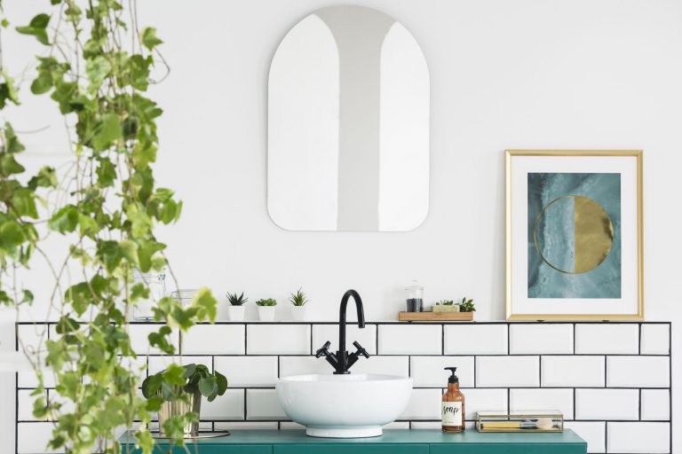 Plants That Thrive in Bathrooms