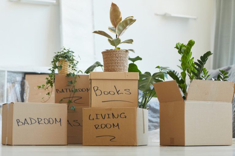 Eco-Friendly Moving Tips