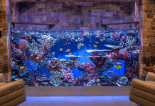 How to Move a Large Aquarium Safely